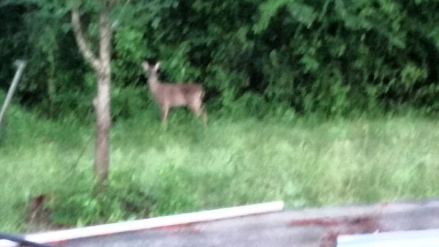 1st image of 270 County Road 2289