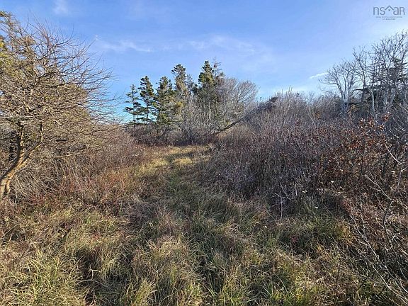 3rd image of LOT Shore Rd
