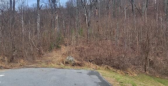 5th image of 703 Topside Rd Lot 3/04