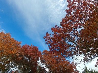 106 Cross Timbers Ct, Weatherford, TX, 76085