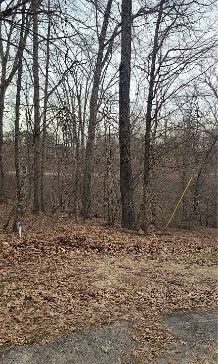 2nd image of Royston Ln #5