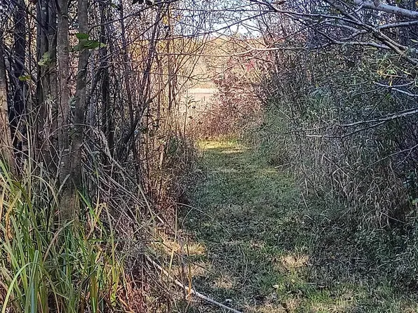 V/l W West Indian Lake Rd, Gladwin, MI 48624