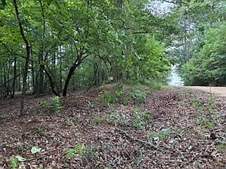 2nd image of Luffey Rd Lot 13