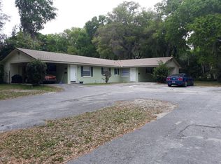 1133 E 9th Ave, Mount Dora, FL 32757