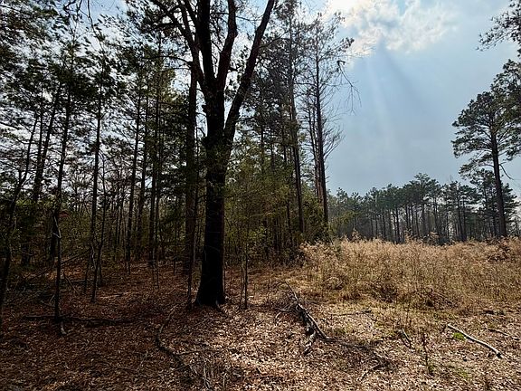 2nd image of 0 Belle Bower Texas Line Rd