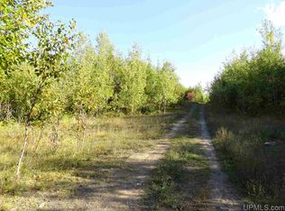 Grant Lake Rd, Republic, MI 49879