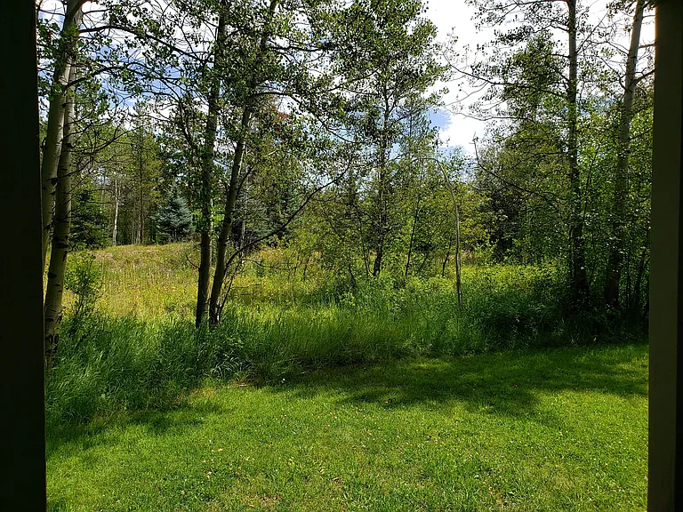 3548 N Lake Creek Dr #DR2211 — Photo 14