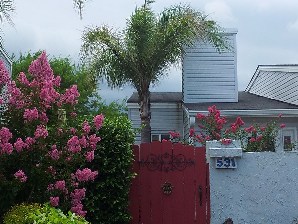1st image of 531 Tarpon Ave