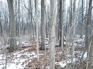 5 Vl St N, Niles, MI 49120