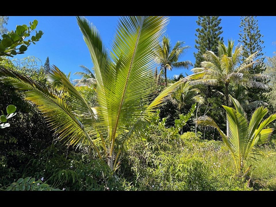 1st image of 1st Avenue Akala Lot 1519
