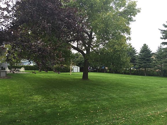 Yard - Rear 2