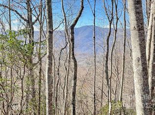 7 Brow Log Way #28, Sylva, NC 28779