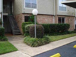 5th image of 5005 Georgi Ln APT 50