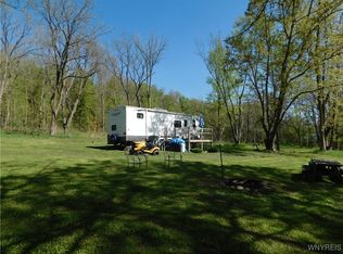 736 Dale Rd, Dale, NY 14039