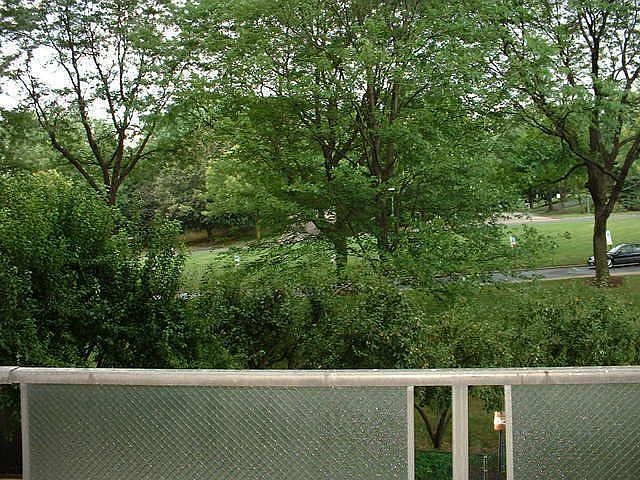 2nd image of 1600 Hagys Ford Rd APT 2A