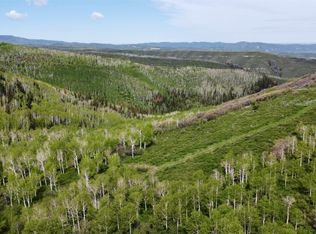 23035 Silverado Rd, Oak Creek, CO 80467