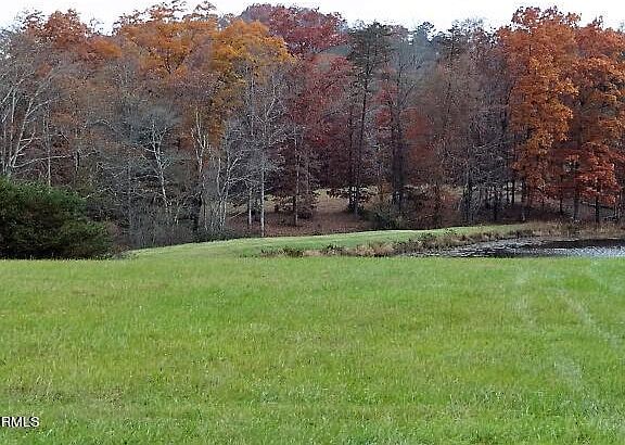 4th image of York Ln