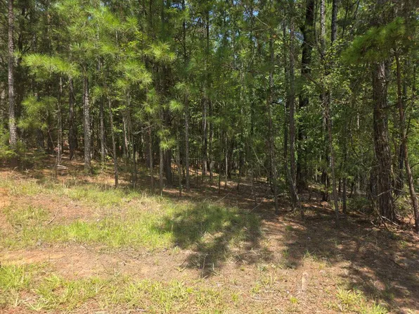 0 Nutwood Ct, Mc Cormick, SC 29835