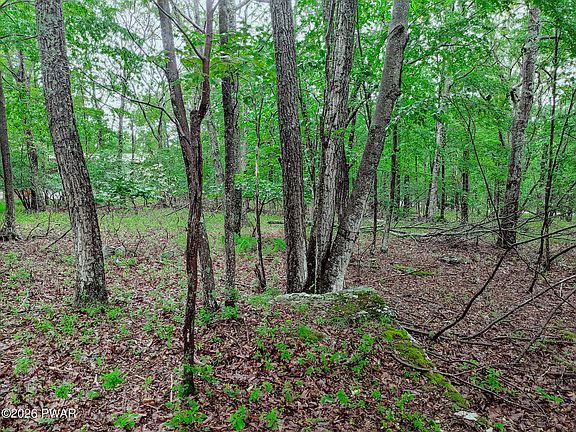 5th image of 102 Rodney Rd