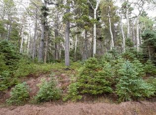 LOT 2614 Petito Dr, Fort Garland, CO 81133