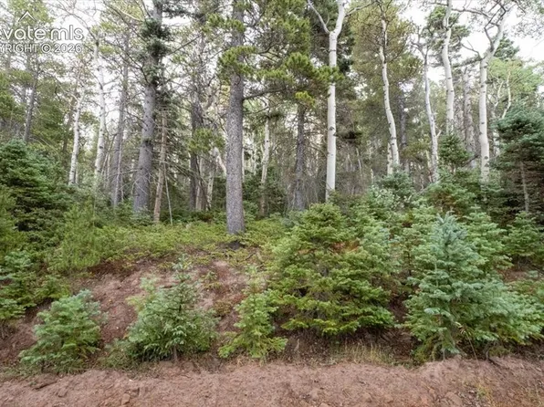 LOT 2614 Petito Dr, Fort Garland, CO 81133
