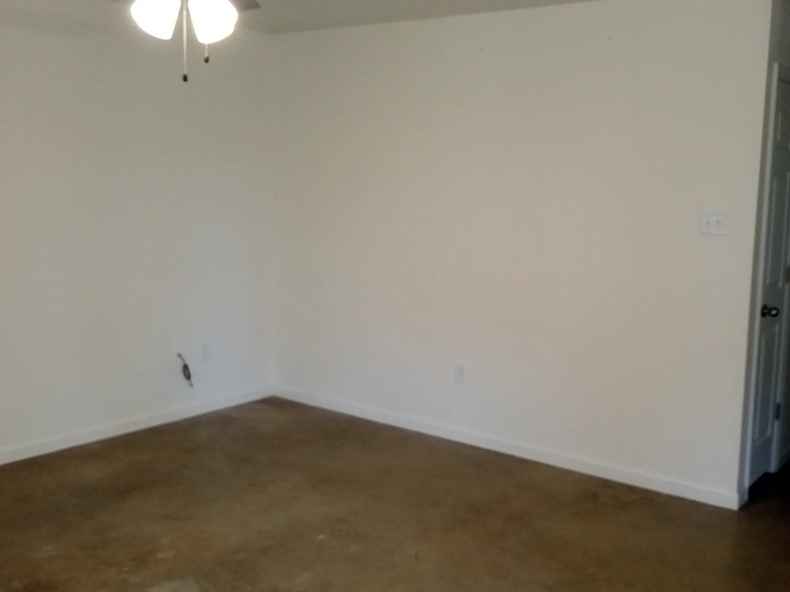 8 Tupelo Street - B — Photo 2
