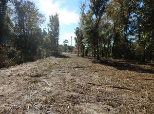 358 Highway, Steinhatchee, FL 32359