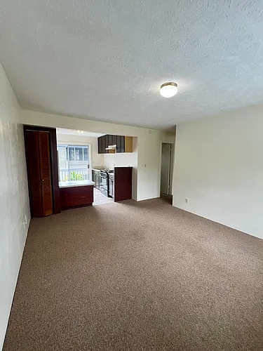 272 Kapiolani St #204 Photo 1