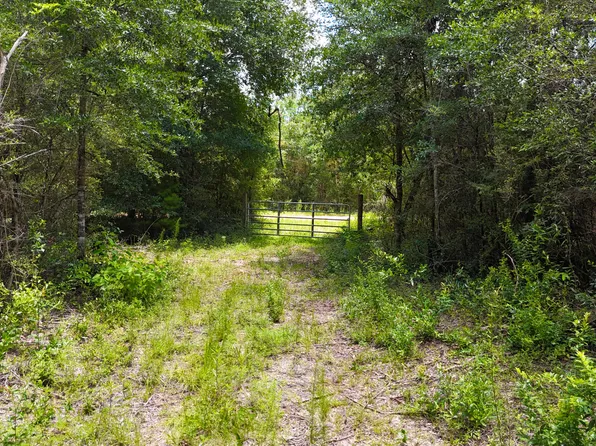 20429 Fettinger Rd, Fountain, FL 32438