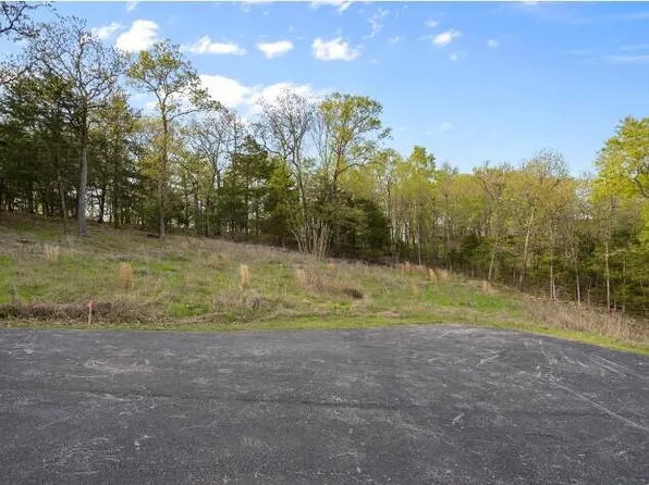 99 End Of Trail Drive, Branson, MO 65616