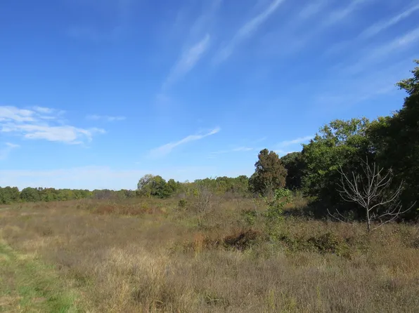 000 Private Lane, Noel, MO 64854