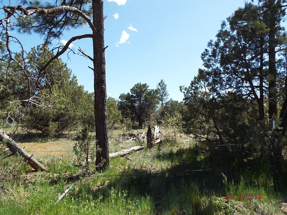 1265 Elm St, Pinedale, AZ 85934 Zillow