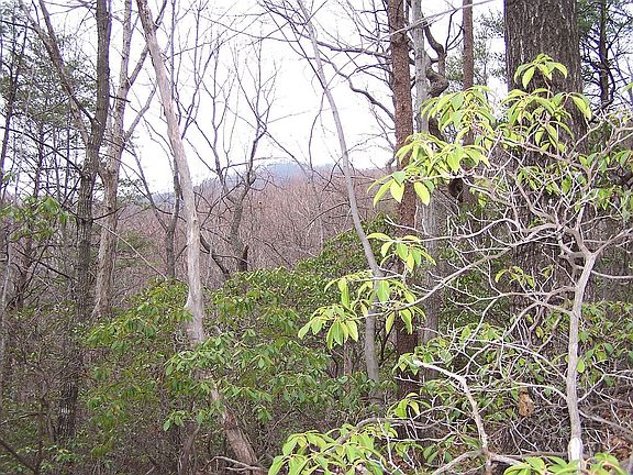 2nd image of Lot # 19 Hemlock Trl