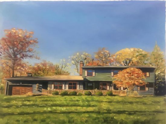 3N866 Ferson Creek Rd, St Charles, IL 60174