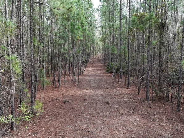 Lot 1 Lila Lane, Pembroke, GA 31321