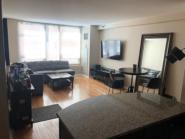 33 W Ontario St #15E — Photo 10