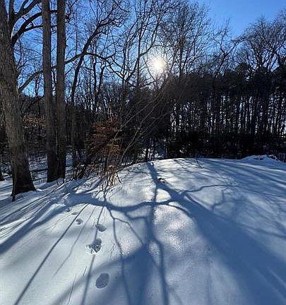 5th image of 144 Pratts Branch Rd