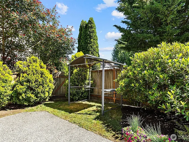 Fenced Back Yard