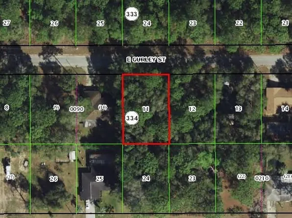 6460 E Gurley St, Inverness, FL 34452