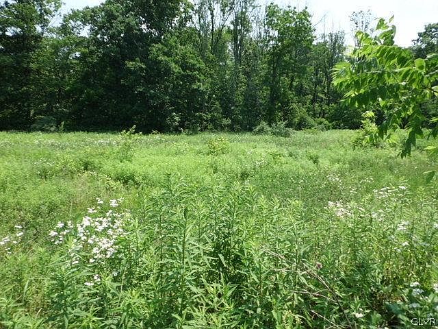 1st image of LOT 6843 Five Broadtail Ct