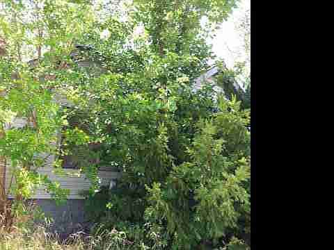 8333 Prairie