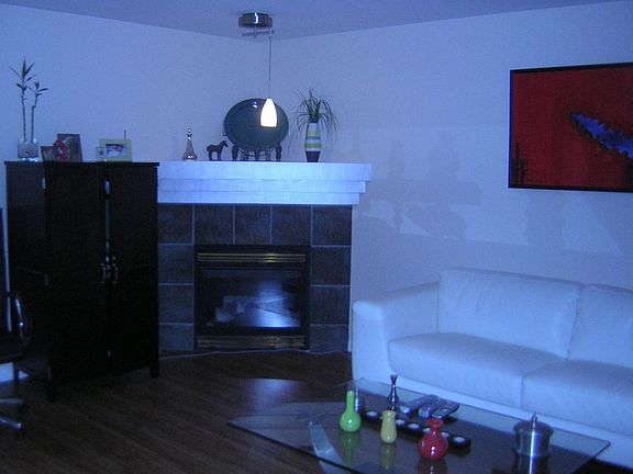 Dramatic Fireplace