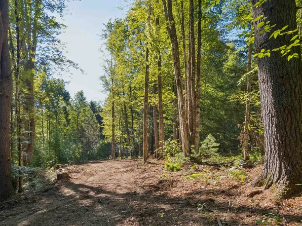 0 Charlestown Road Lot C: Goldfinch Corner, Springfield, VT 05156
