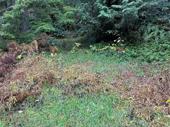 38219 State Route 706 E, Ashford, WA 98304