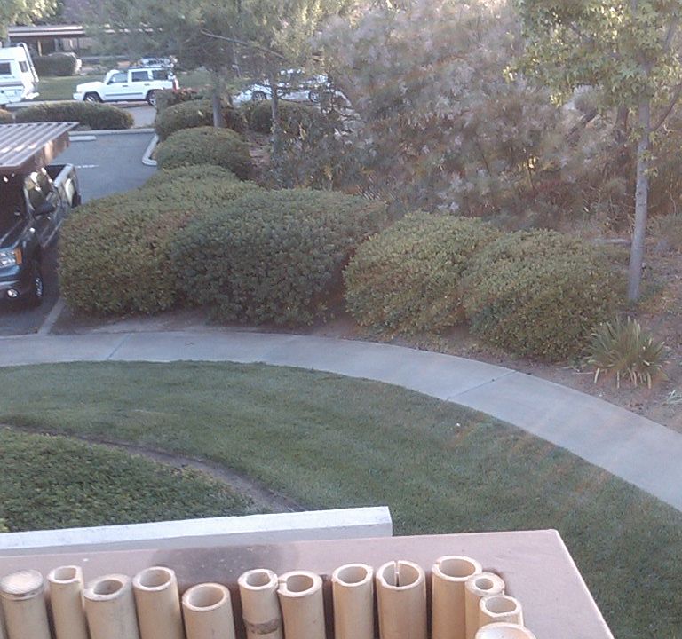 2nd image of 12190 Cuyamaca College Dr E Unit 900