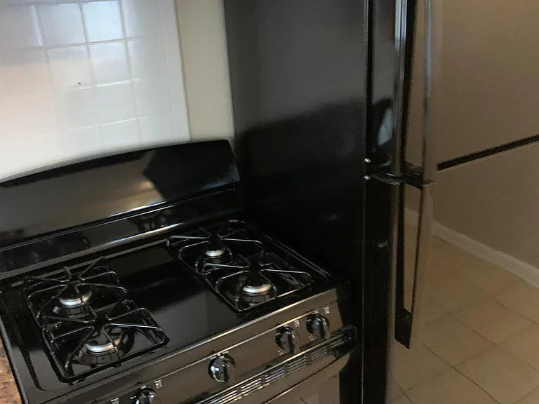 223 Flora Dr — Photo 3