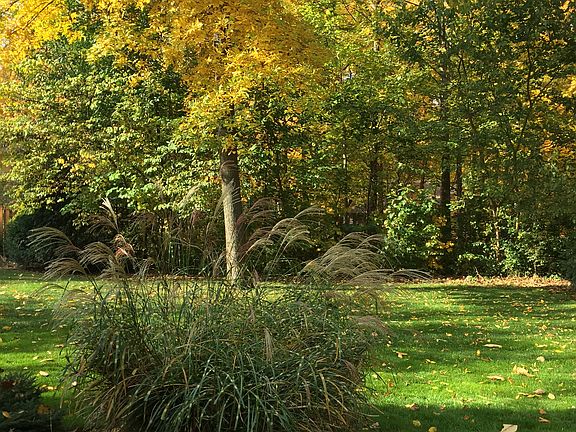 Private Back Yard