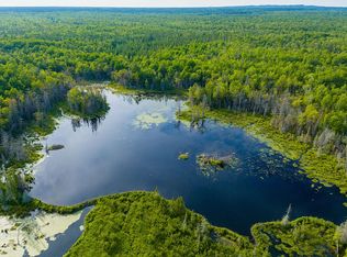 S Old Brimley Gd Rd, Brimley, MI 49715