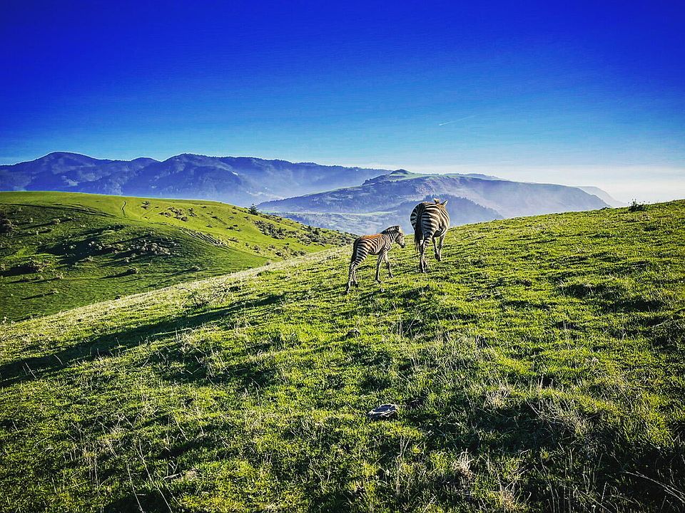 58th image of this home