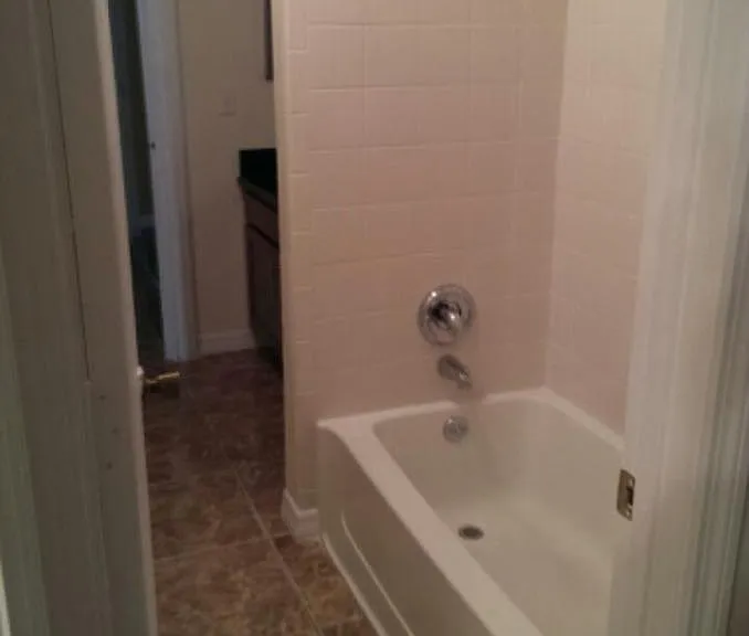 Master Bath Tub/Shower